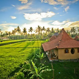 Dragonfly Village Vakantiepark Ubud